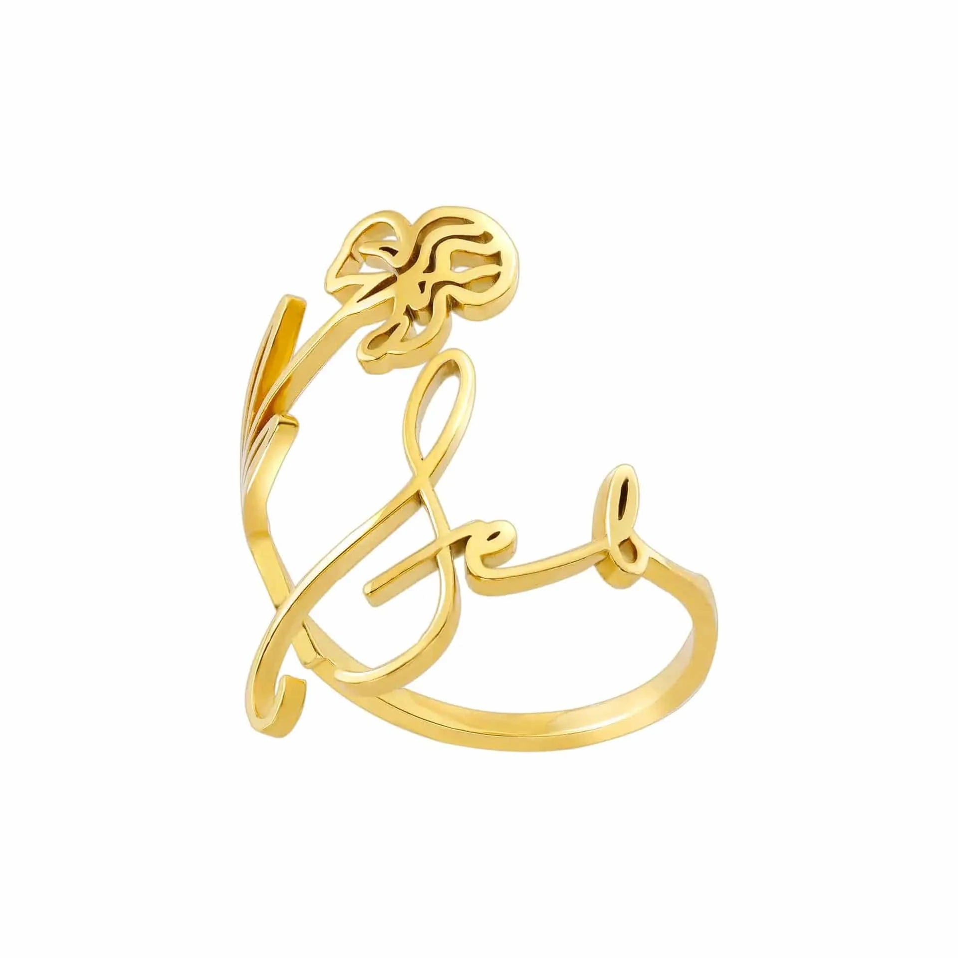 Ring Geburtsmonat Gravur Resizable / Open ring / 2 Horaclek